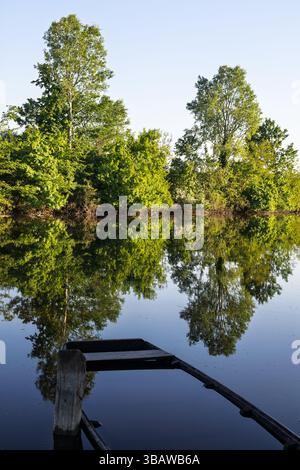 Ruhige Landschaft mit einem ruhigen Fluss und lebendigen grünen Bäumen, die sich auf der spiegelähnlichen Oberfläche des Wassers spiegeln. Ein altes hölzernes Boot verleiht dem einen rustikalen Charme Stockfoto
