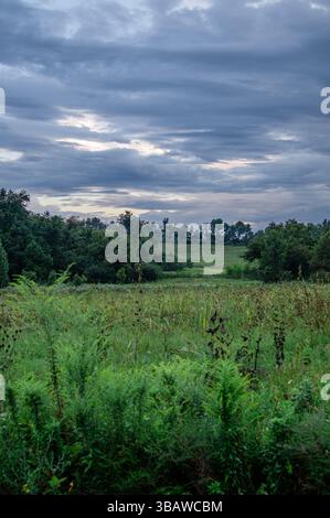Ein Missouri-Feld an einem bewölkten Tag Stockfoto