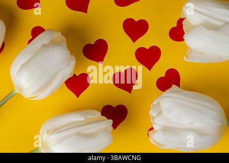 Weiße Tulpen auf gelbem Papier mit roten Herzen, roten Herzen und weißen Tulpenblüten auf gelbem Papier Stockfoto