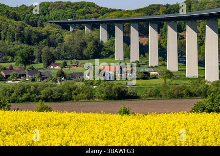 Die Mintarderbrücke, Autobahnbrücke über das Ruhrgebiet zwischen Essen-Kettwig und Mülheim an der Ruhr, Frühling, Rapsfelder in voller Blüte, Nordrhein- Stockfoto