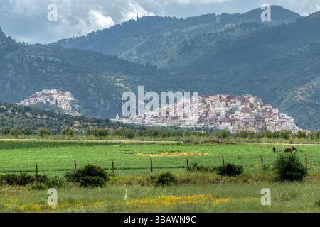 Moulay Idriss oder Moulay Driss Zerhounis ist eine Stadt in der Region Fès-Meknès im Norden Marokkos, am Fuße des Berges Zerhoun. Es liegt in der Nähe von Meknes Stockfoto