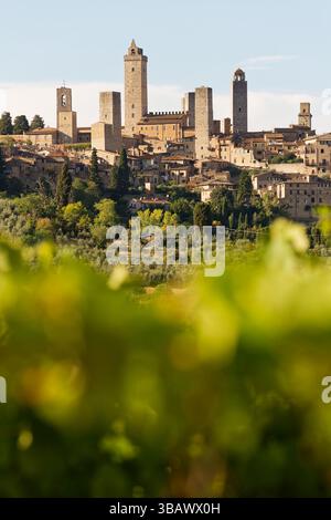 18.09.2021, Italien, Toskana, San Gimignano - ITA - Panorama der Altstadt mit mittelalterlichen Türmen (Geschlechtertürme). 00U210918D007CAROEX.JPG [MODELL Stockfoto