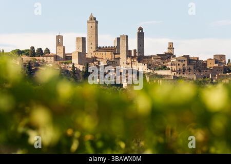 18.09.2021, Italien, Toskana, San Gimignano - ITA - Panorama der Altstadt mit mittelalterlichen Türmen (Geschlechtertürme). 00U210918D006CAROEX.JPG [MODELL Stockfoto