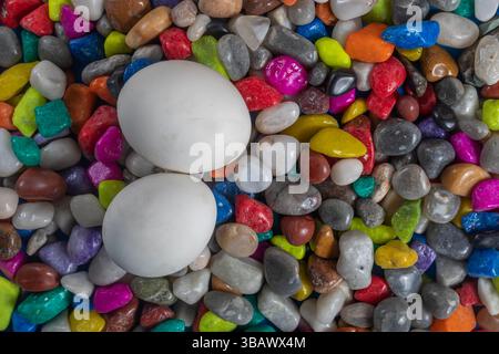 Eine Nahaufnahme von zwei weichen weißen Eiern auf einem Bett aus bunten, leuchtenden Steinen. Perfekt für künstlerische, dekorative oder konzeptionelle Themen. Stockfoto