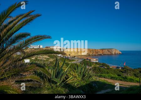 06.03.2025, Portugal, Algarve, Sagres - Palmen am Stadtstrand Praia da Mareta, mit dem Aussichtspunkt Ponta da Atalaia im Hintergrund. 00X250306 Stockfoto