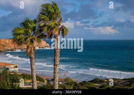 08.03.2025, Portugal, Algarve, Sagres - Palmen am Stadtstrand Praia da Mareta, mit dem Aussichtspunkt Ponta da Atalaia im Hintergrund. 00X250308 Stockfoto