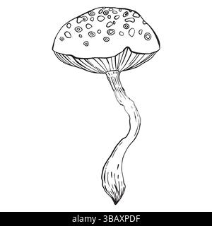 Pilz im Farbskizzierstil isoliert. Handgezeichnetes Lebensmittel. Umreißen Sie die Kritzeleien von wilden Pilzen. Mykologie. Giftig, Toadstools kritzeln Stock Vektor