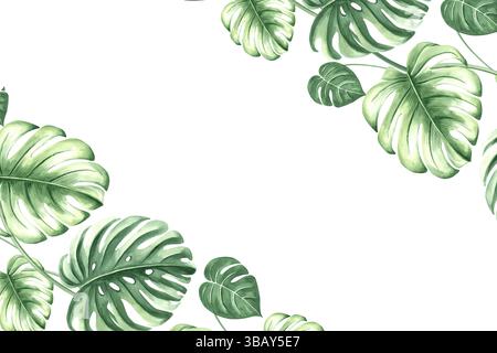 Aquarellrahmen von tropischen Palmblättern isoliert. Postkartenschablone aus exotischer Pflanze. Handgezeichnete grüne Laubmonstera in realistisch Stockfoto