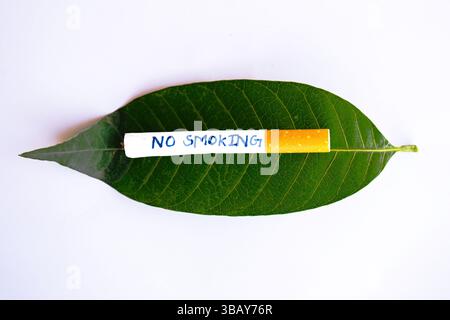 Werben Sie für eine rauchfreie Welt mit Grafiken für die Kampagnen „World No Smoking Day“, „World Lung Cancer Day“ und „World No Tobacco Free“. Stockfoto
