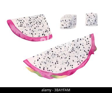Aquarellabbildung von Drachenfrüchten oder rosa pitaya-Früchten. Set aus geschnittenen und halben Teilen. Stockfoto