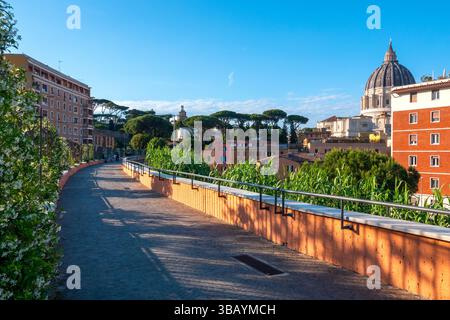 Die Passeggiata del Gelsomino ist ein mit Jasmin gesäumter Fußgängerweg in Rom, Italien, mit Blick auf den Petersdom. Stockfoto