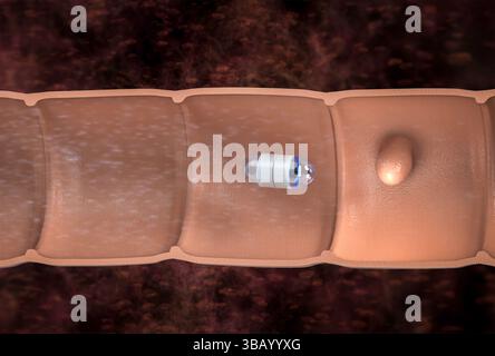 3D-Rendering-Kapselendoskopie im Darminschnitt-4k-Filmmaterial Stockfoto