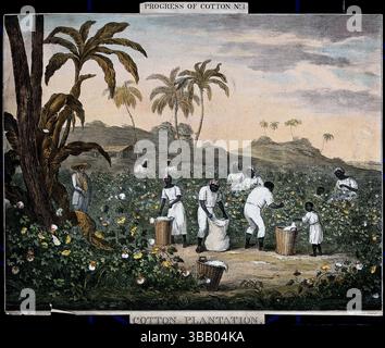 Lithografie mit Aquarell von Sklaven mit Körben und Säcken, die Baumwolle auf einer Plantage in Amerika pflücken. Farblithographie nach James Richard Barfoot 1840. Stockfoto
