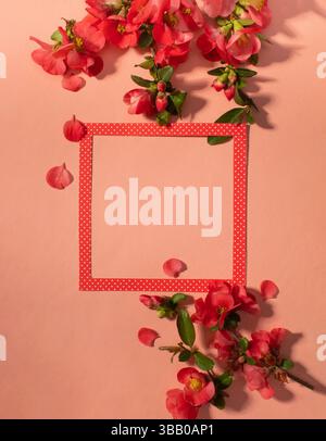 Kreative Komposition aus rosa Blumen und rosa Hintergrund mit rotem Quadrat. Flache Blumenlandschaft. Stockfoto