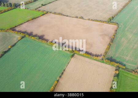 Luftaufnahme des landwirtschaftlichen Landschaft mit Feldern, Wiesen und Hecken, Schleswig-Holstein, Deutschland. Stockfoto