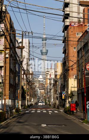 Tokio, Japon. Mai 2025. Illustration während des Tokio ePrix, 8. Und 9. Runde der ABB FIA Formel E Weltmeisterschaft 2024-25, auf dem Tokyo Street Circuit vom 16. Bis 18. Mai 2025 in Tokio, Japan - Foto Julien Delfosse/DPPI Credit: DPPI Media/Alamy Live News Stockfoto