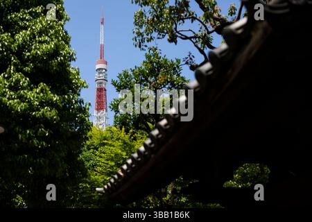 Tokio, Japon. Mai 2025. Illustration während des Tokio ePrix, 8. Und 9. Runde der ABB FIA Formel E Weltmeisterschaft 2024-25, auf dem Tokyo Street Circuit vom 16. Bis 18. Mai 2025 in Tokio, Japan - Foto Julien Delfosse/DPPI Credit: DPPI Media/Alamy Live News Stockfoto