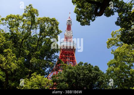 Tokio, Japon. Mai 2025. Illustration während des Tokio ePrix, 8. Und 9. Runde der ABB FIA Formel E Weltmeisterschaft 2024-25, auf dem Tokyo Street Circuit vom 16. Bis 18. Mai 2025 in Tokio, Japan - Foto Julien Delfosse/DPPI Credit: DPPI Media/Alamy Live News Stockfoto
