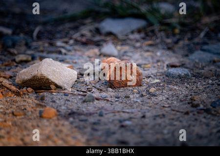 Nahaufnahme von zwei kontrastierenden Steinen auf einer Sand- und Kiesoberfläche, erfasst in natürlichem Licht. Die Komposition hebt die Texturen, Formen und das Herz hervor Stockfoto