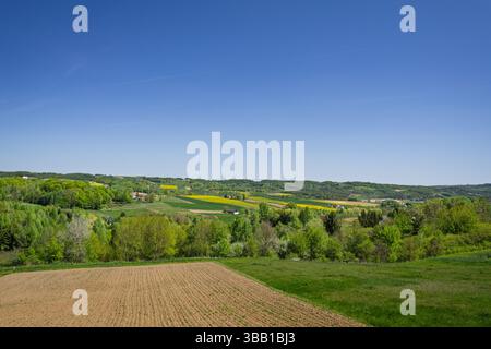 Ein weites Landschaftsbild auf sanfte grüne Weiden und leuchtend gelbe blühende Felder unter einem klaren blauen Frühlingshimmel. Diese beschauliche ländliche Szene ist ein Fang Stockfoto