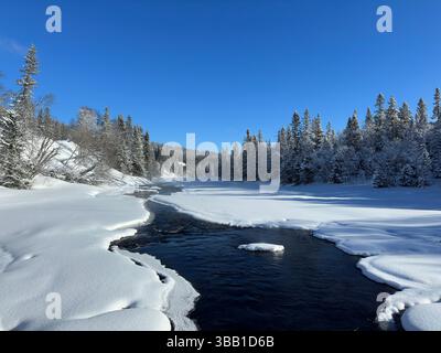 Winterszene mit einem Fluss, der durch einen schneebedeckten Wald fließt. Stockfoto