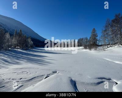 Winterlandschaft mit einem schneebedeckten Tal mit Bergen und üppigen Bäumen in der Ferne in Nordschweden. Stockfoto
