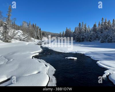 Eine wunderschöne Winterszene mit einem Fluss, der durch einen schneebedeckten Wald fließt. Stockfoto