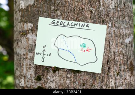 Geocaching, Freizeitaktivitäten im Freien, Navigation zum Verstecken und Suchen von Containern, Geocache-Standort im Wald, Schatzjagd-Spiel, Hinweis auf Baum tr Stockfoto