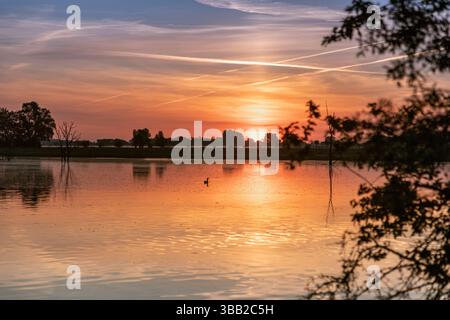 Naturschutzgebiet Biseller Insel bei Xanten, Auenlandschaft am Altrhein, Rückzugsgebiet für viele Tierarten - Xanten, Nordrhein-Westfalen, Deutschland *** Naturschutzgebiet Biseller Insel bei Xanten, Auenlandschaft am Altrhein, Rückzugsgebiet für viele Tierarten Xanten, Nordrhein-Westfalen, Deutschland Stockfoto