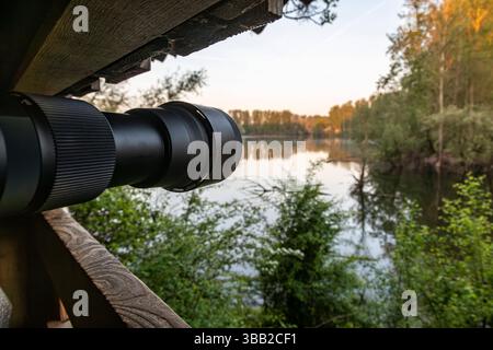 Beobachtungshütte im Naturschutzgebiet Biseller Insel bei Xanten, Auenlandschaft am Altrhein, Rückzugsgebiet für viele Tierarten - Xanten, Nordrhein-Westfalen, Deutschland *** Aussichtshütte im Naturschutzgebiet Bislicher Insel bei Xanten, Auenlandschaft am Altrhein, Rückzugsgebiet für viele Tierarten Xanten, Nordrhein-Westfalen, Deutschland Stockfoto