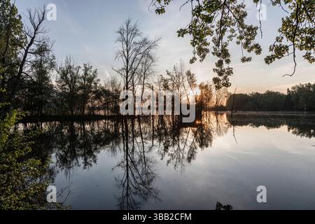 Beobachtungshütte im Naturschutzgebiet Biseller Insel bei Xanten, Auenlandschaft am Altrhein, Rückzugsgebiet für viele Tierarten - Xanten, Nordrhein-Westfalen, Deutschland *** Aussichtshütte im Naturschutzgebiet Bislicher Insel bei Xanten, Auenlandschaft am Altrhein, Rückzugsgebiet für viele Tierarten Xanten, Nordrhein-Westfalen, Deutschland Stockfoto