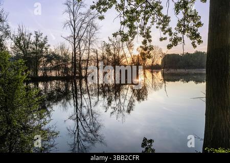 Beobachtungshütte im Naturschutzgebiet Biseller Insel bei Xanten, Auenlandschaft am Altrhein, Rückzugsgebiet für viele Tierarten - Xanten, Nordrhein-Westfalen, Deutschland *** Aussichtshütte im Naturschutzgebiet Bislicher Insel bei Xanten, Auenlandschaft am Altrhein, Rückzugsgebiet für viele Tierarten Xanten, Nordrhein-Westfalen, Deutschland Stockfoto