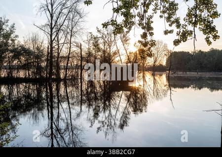 Beobachtungshütte im Naturschutzgebiet Biseller Insel bei Xanten, Auenlandschaft am Altrhein, Rückzugsgebiet für viele Tierarten - Xanten, Nordrhein-Westfalen, Deutschland *** Aussichtshütte im Naturschutzgebiet Bislicher Insel bei Xanten, Auenlandschaft am Altrhein, Rückzugsgebiet für viele Tierarten Xanten, Nordrhein-Westfalen, Deutschland Stockfoto