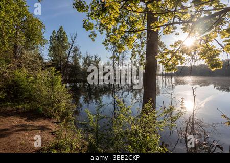 Beobachtungshütte im Naturschutzgebiet Biseller Insel bei Xanten, Auenlandschaft am Altrhein, Rückzugsgebiet für viele Tierarten - Xanten, Nordrhein-Westfalen, Deutschland *** Aussichtshütte im Naturschutzgebiet Bislicher Insel bei Xanten, Auenlandschaft am Altrhein, Rückzugsgebiet für viele Tierarten Xanten, Nordrhein-Westfalen, Deutschland Stockfoto