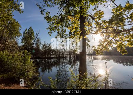 Beobachtungshütte im Naturschutzgebiet Biseller Insel bei Xanten, Auenlandschaft am Altrhein, Rückzugsgebiet für viele Tierarten - Xanten, Nordrhein-Westfalen, Deutschland *** Aussichtshütte im Naturschutzgebiet Bislicher Insel bei Xanten, Auenlandschaft am Altrhein, Rückzugsgebiet für viele Tierarten Xanten, Nordrhein-Westfalen, Deutschland Stockfoto