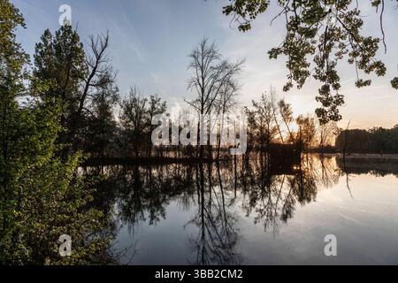 Beobachtungshütte im Naturschutzgebiet Biseller Insel bei Xanten, Auenlandschaft am Altrhein, Rückzugsgebiet für viele Tierarten - Xanten, Nordrhein-Westfalen, Deutschland *** Aussichtshütte im Naturschutzgebiet Bislicher Insel bei Xanten, Auenlandschaft am Altrhein, Rückzugsgebiet für viele Tierarten Xanten, Nordrhein-Westfalen, Deutschland Stockfoto