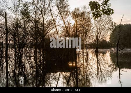 Beobachtungshütte im Naturschutzgebiet Biseller Insel bei Xanten, Auenlandschaft am Altrhein, Rückzugsgebiet für viele Tierarten - Xanten, Nordrhein-Westfalen, Deutschland *** Aussichtshütte im Naturschutzgebiet Bislicher Insel bei Xanten, Auenlandschaft am Altrhein, Rückzugsgebiet für viele Tierarten Xanten, Nordrhein-Westfalen, Deutschland Stockfoto