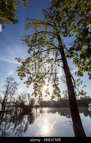 Beobachtungshütte im Naturschutzgebiet Biseller Insel bei Xanten, Auenlandschaft am Altrhein, Rückzugsgebiet für viele Tierarten - Xanten, Nordrhein-Westfalen, Deutschland *** Aussichtshütte im Naturschutzgebiet Bislicher Insel bei Xanten, Auenlandschaft am Altrhein, Rückzugsgebiet für viele Tierarten Xanten, Nordrhein-Westfalen, Deutschland Stockfoto