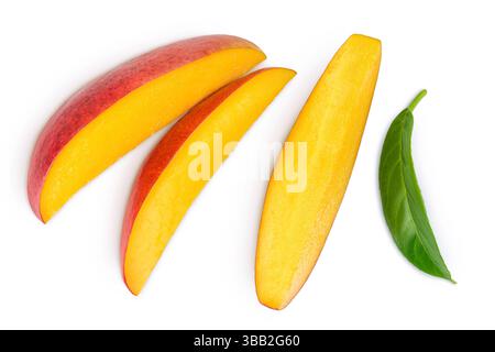 Mangoblätter isoliert auf weißem Hintergrund mit voller Schärfentiefe. Draufsicht. Flache Lagen Stockfoto