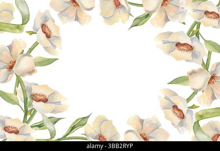 Elfenbeinfarbenes weißes Aquarell sanfte Blumenkorbordüre mit handgezeichneten Anemonen und grünen Stielen isoliert auf weiß. Pfingstrosen-Illustration für botanisches gemalt Stockfoto