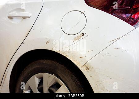 Sehr schmutziges weißes Auto, das von Schlamm bedeckt war, wegen der Geländefahrten. Das Auto muss in einer Autowaschanlage gereinigt werden. Stockfoto
