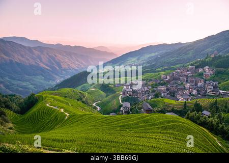 Longji-Reisterrassen auf dem Yaoshan-Berg in Guangxi, China, Sonnenaufgangslicht Stockfoto