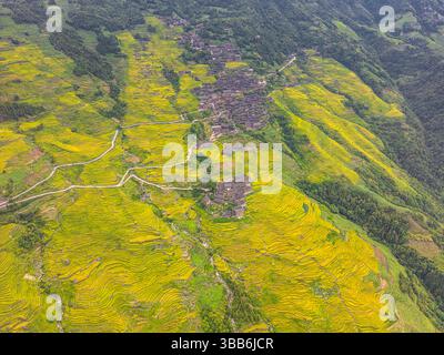 Top-Drohne aus nächster Nähe auf die Longji-Reisterrassen in der Provinz Guangxi, China. Stockfoto
