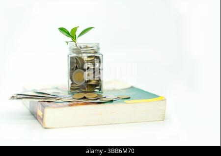 Pflanze wächst auf Geldmünzen im Gefäß und Dollarbiill außen auf verschwommenem Buch und isoliert weißen Hintergrund. Stockfoto