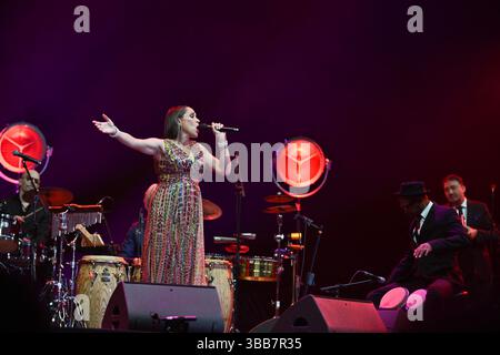 Paris, Frankreich. Mai 2025. Pink Martini, China Forbes tritt am 14. Mai 2025 in der Accor Arena in Paris auf. Foto: Christophe Meng/ABACAPRESS.COM Credit: Abaca Press/Alamy Live News Stockfoto