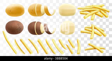 Satz Kartoffeln isoliert auf transparentem Hintergrund. Geschälte und ungeschälte rohe Kartoffeln. Pommes frites in feinem Fett frittiert. Realistische 3D-Vektordarstellung Stock Vektor