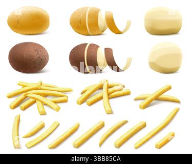 Satz Kartoffeln isoliert auf transparentem Hintergrund. Geschälte und ungeschälte Kartoffeln. Rohe und gekochte Kartoffeln. Pommes frites in feinem Fett frittiert. Realistisch 3 Stock Vektor