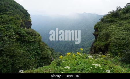 Fanjing Mountain: Heilige Gipfel und bewölkte Tempel in Guizhou, China Stockfoto