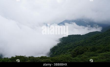 Fanjing Mountain: Heilige Gipfel und bewölkte Tempel in Guizhou, China Stockfoto