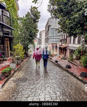 Zwei Personen gehen eine kopfsteingepflasterte Straße entlang, umgeben von üppigem Grün und Gebäuden. Hochwertige Fotos Stockfoto